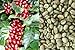 El Salvador SHG EP Santa Ana Natural H/P Reserva Coffee Beans (Light Roast (City), 2.5 Pounds Whole Beans)