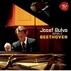 Josef Bulva: Beethoven
