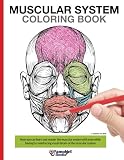 Muscular System Coloring Book: Now you can learn and master the muscular system with ease while having fun