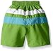 i play. by green sprouts baby boys Colorblock With Built-in Reusable Absorbent Diaper infant and toddler swim trunks, Lime/Aqua, 6 Month US
