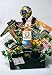 Village M.D. : Get Well Gift Basket