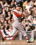 Stan Musial St. Louis Cardinals Hitting Color 8x10 Photo