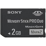 Sony 2 GB Flash Memory Card MSMT2G/TQ (Black)