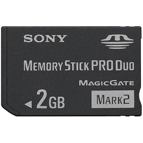 Sony 2 GB Flash Memory Card MSMT2G/TQ (Black)