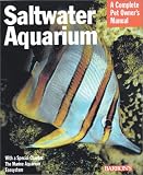 Saltwater Aquarium