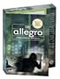 Allegro 2002