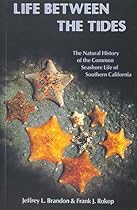 Life Between the Tides Life Between the Tides