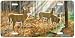 Saved by a Twig - Deer Wildlife Art Print - License Plate by Randy McGovern from Airs...
