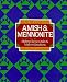 Beautiful Quilts: Amish and Mennonite : Making Classic Quilts & Modern Variations by Katharine Guerrier