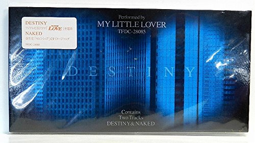 DESTINY MY LITTLE LOVER 小林武史