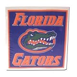 Florida Gators Collegiate Cube Notepad