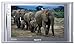 Sony LF-X5 LocationFree 7-Inch LCD TV