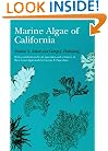 Marine Algae of California