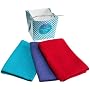 DII Take Out Box Set with 3-Dishcloths, Fiesta