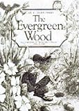 The evergreen wood