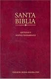 cover of Biblia Econmica-RV 1909
