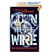 Down to the Wire (Ben Maddox Story)