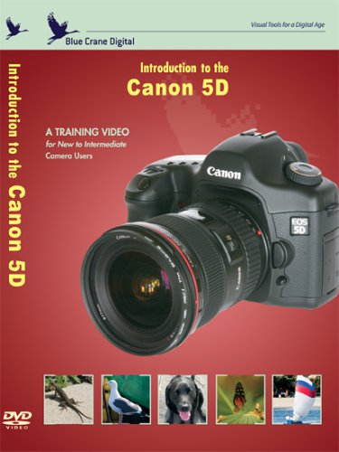 Introduction to the Canon 5D