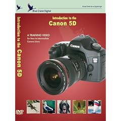 Introduction to the Canon 5D