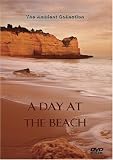 Nature DVD A Day at the Beach