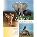 Animal Diversity