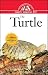 The Turtle and Tortoise