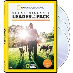 Cesar Millan: Leader of the Pack