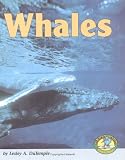 Whales (Early Bird Nature)