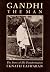 Gandhi the Man : The Story of His Transformation