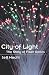 City of Light: The Story of Fiber Optics (Sloan Technology)