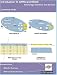 Introduction to GPRS and EDGE: Technology, Operation, and Services