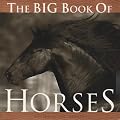 The Big Book of Horses