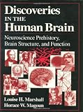 Discoveries in the Human Brain: Neuroscience Prehistory, Brain Structure, and Function: Neuroscience Prehistory, Brain Structure and Function