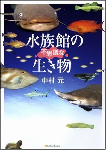 Cover image : 水族館の不思議な生き物
