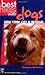 Best Hikes With Dogs: New York City & Beyond