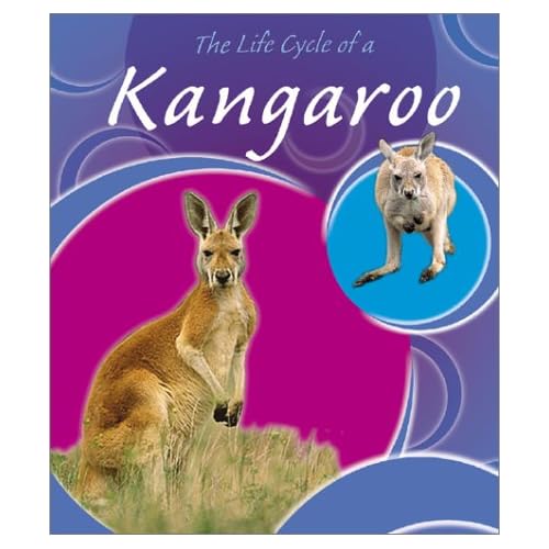 The Life Cycle of a Kangaroo (Life Cycles) Lisa Trumbauer