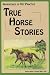 Adventures of Vet Practice : True Horse Stories