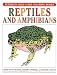 Reptiles and Amphibians (Peterson Field Guide Coloring Books) by Sarah Anne Hughes, Roger Conant, Robert C. Stebbins