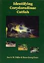 Identifying Corydoradinae Catfish - Corydoras
