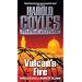 Vulcan's Fire: Harold Coyle's Strategic Solutions, Inc.