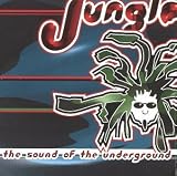 Jungle: The Sound of the Underground