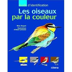 Les oiseaux par la couleur