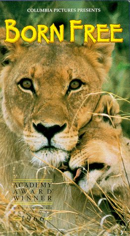 Childrens Toyshop  VHS : Born Free