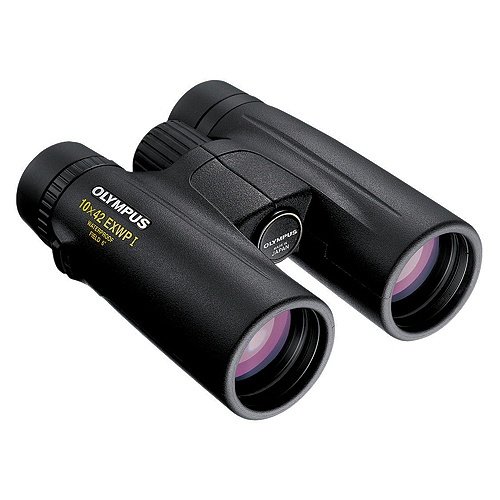 Olympus 10x42 EXWPI Fernglas mit Tasche Olympus 10x42 EXWPI Fernglas mit Tasche