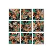 B Dazzle Renoir Scramble Squares 9 Piece Puzzle