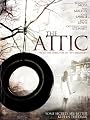 play video on Amazon Instant Video