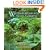 Water Features for Small Gardens