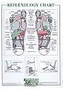 Reflexology Chart