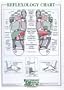 Reflexology Chart