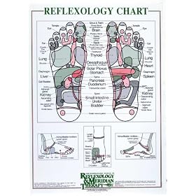 Reflexology Chart